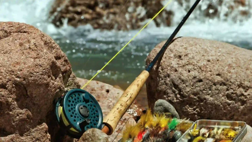 Choosing the Right Trout Fishing Rod and Reel Combo
