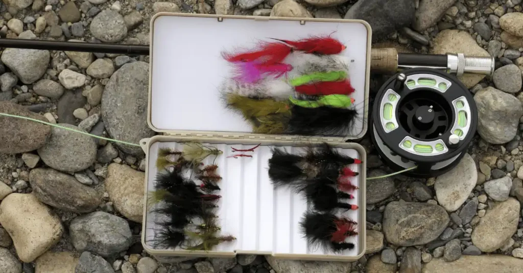 Essential Fly Fishing Equipment to Get You Started