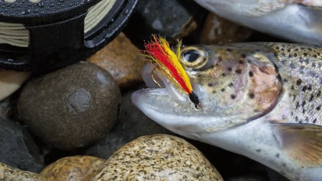 The Vital Role of Flies in Trout Fishing Success
