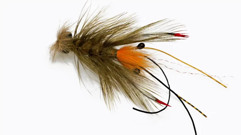 Wet Flies For Fly Fishing on River | An Expert Guide