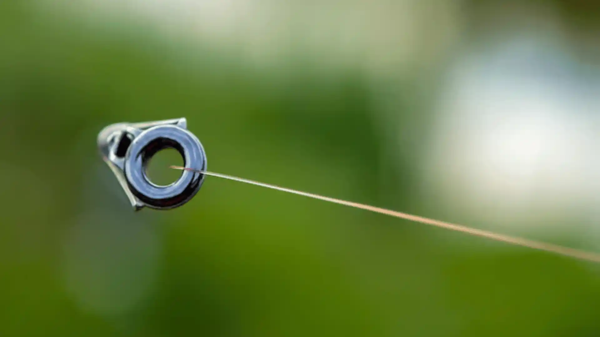 An In-Depth Guide to Fly Fishing Tippet 