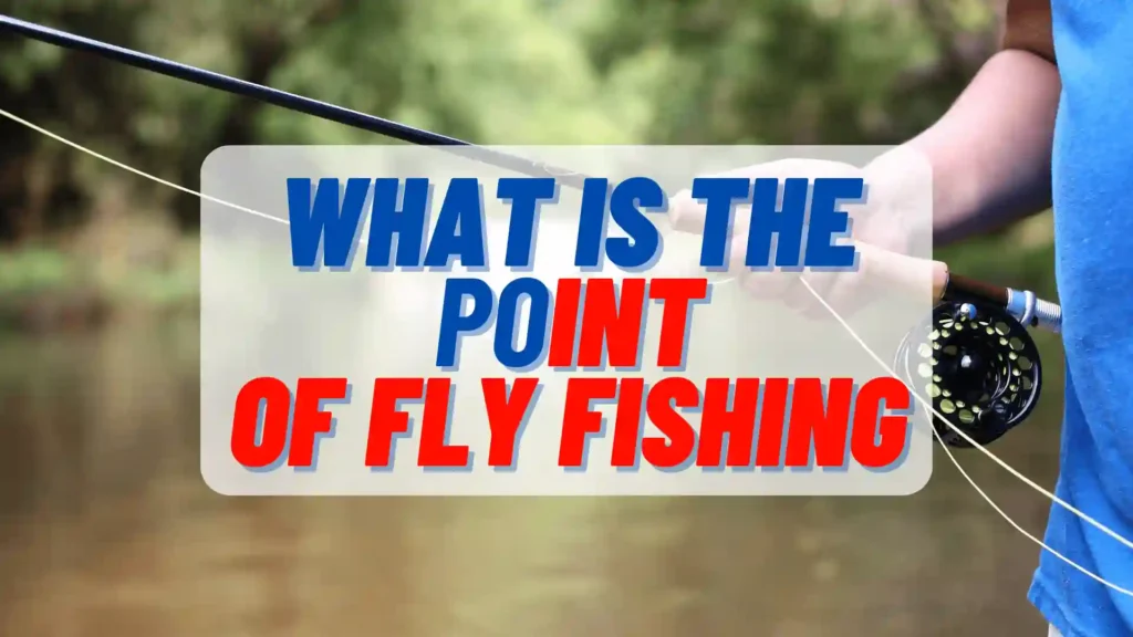 What is the Point Of FLy Fishing