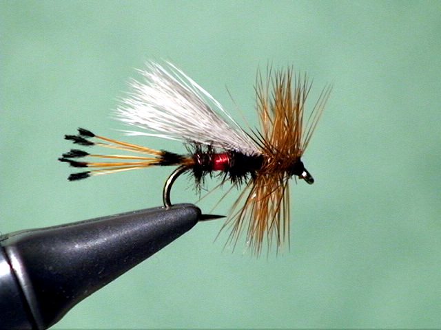 Royal Wulff Fly : How to Ties this Remarkable Dry Fly 