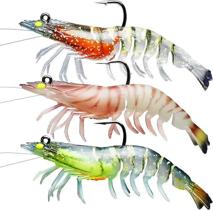 Best Trout Baits for Rivers