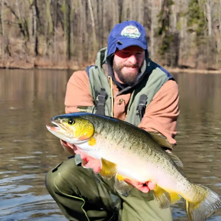 Perch Fishing