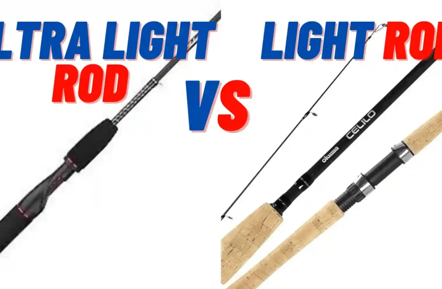 Light Vs Ultralight Rod For Trout