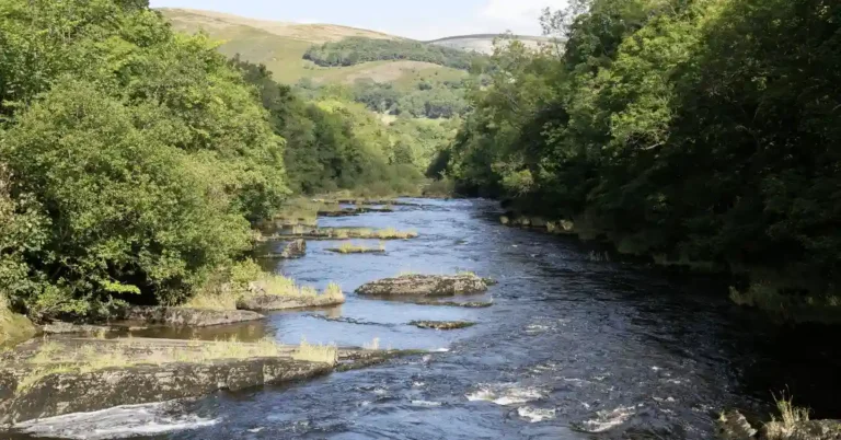 Welsh Dee fishing