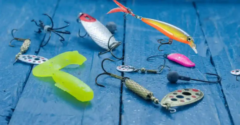 Best Trout Baits